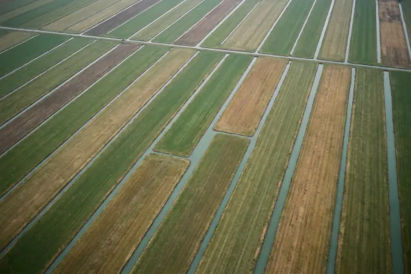 Bovenaanzicht van een polderlandschap dat in veel smalle percelen is verdeeld
